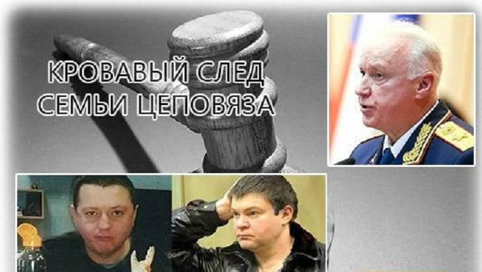 Александр Бастрыкин запросил материалы по Федору Стрельцову и Наталье Стришней