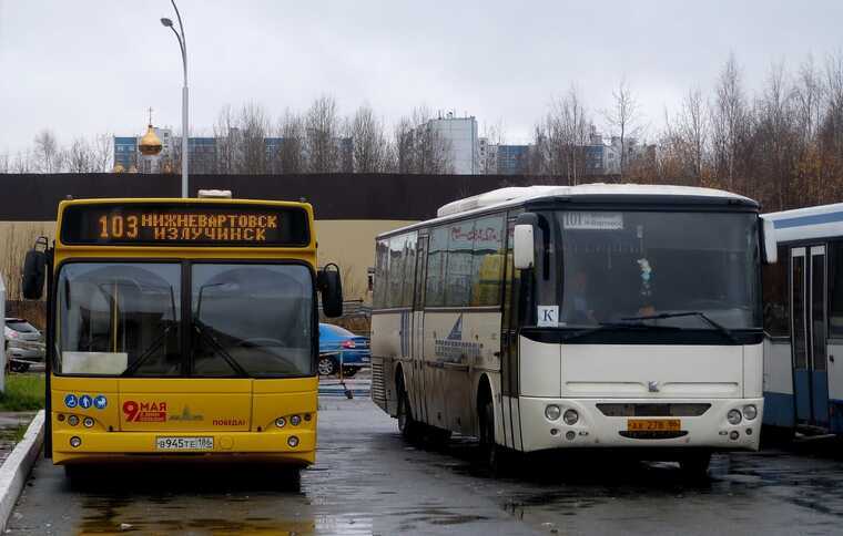 Бизнес Югры подозревает попытку монополизации рынка пассажирских перевозок в пользу «Домтрансавто»