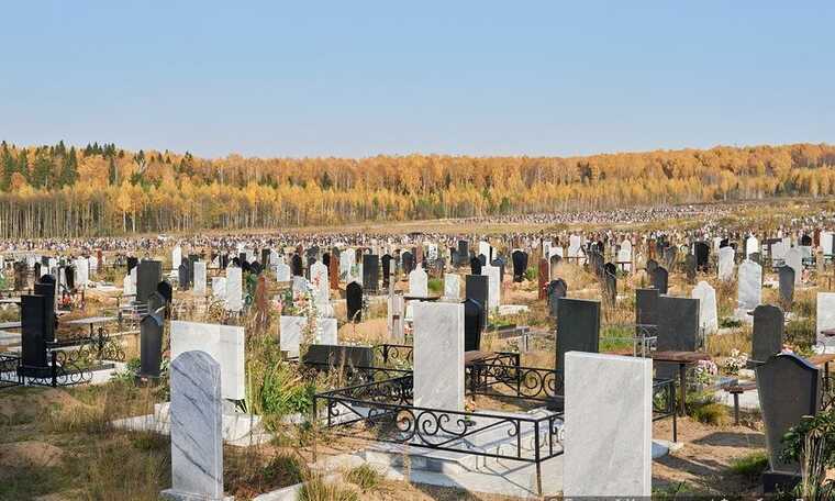 Проект мемориала «Белые березки» в Москве вызывает протесты